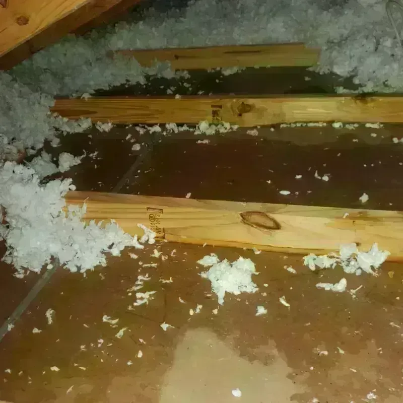 Attic Water Damage in Coffeyville, KS